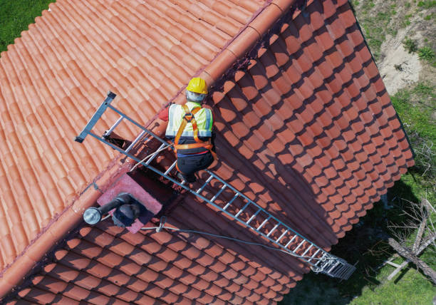 Best Roof Coating and Sealing  in South Haven, MI